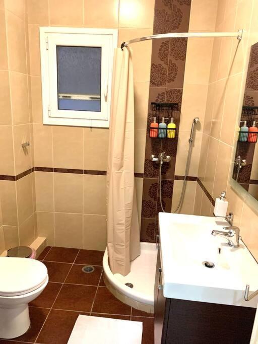 Spacious 4-Bedroom Family Home, 100M From Metro Athens Exterior photo